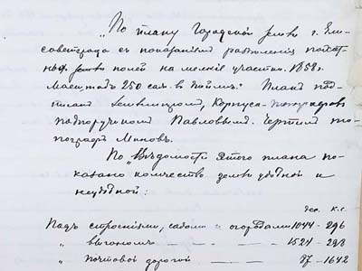 Площі приміської та міської землі м. Єлисаветграда