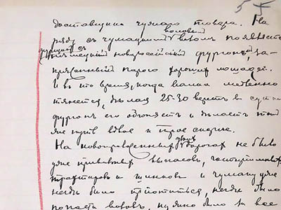Скальковський А. О. Історія Нової Січі